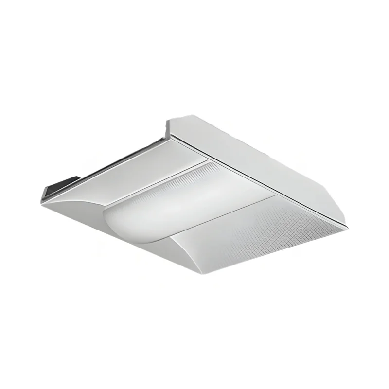 beeslighting12618136