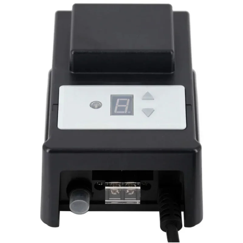 beeslighting12618429