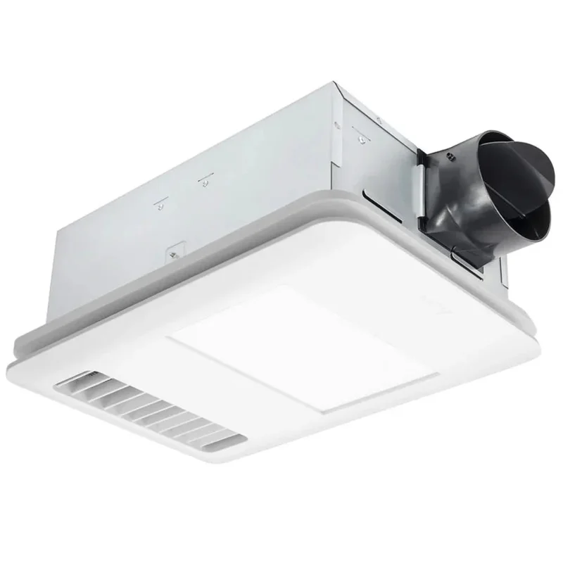 beeslighting12629920
