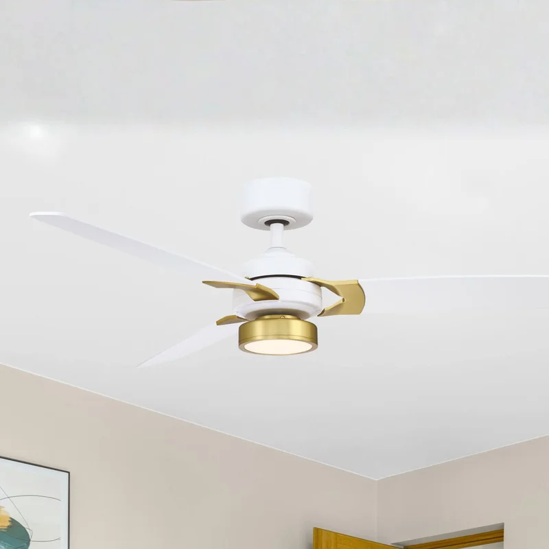 beeslighting12649233
