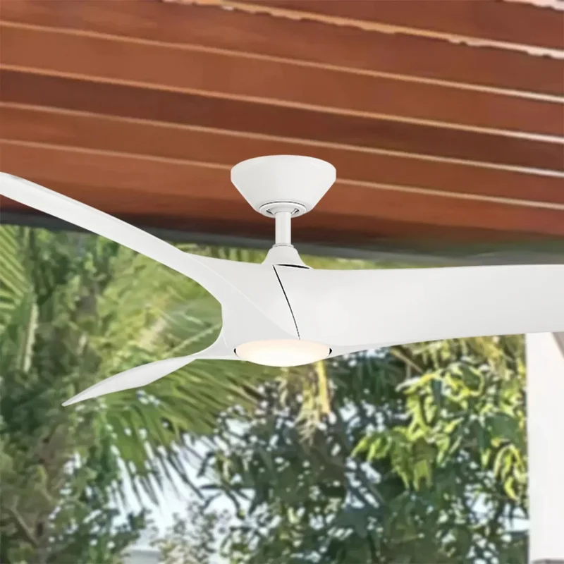 beeslighting12649716