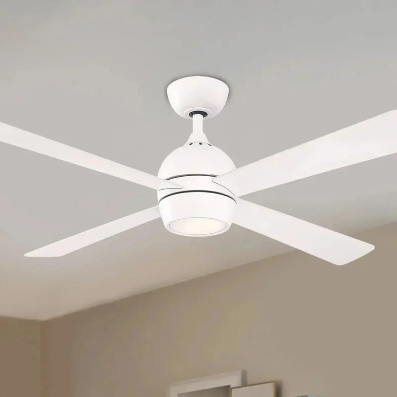 beeslighting12652878