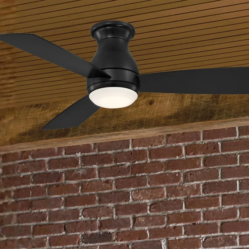 beeslighting12652934