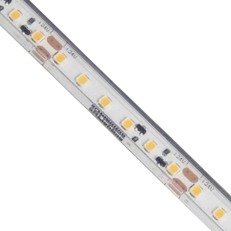 beeslighting12654176