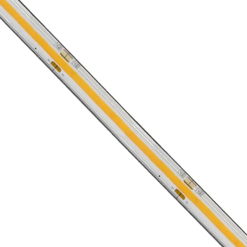 beeslighting12654218
