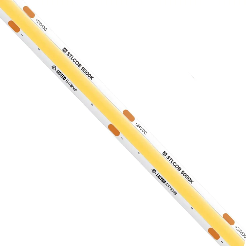 beeslighting12654286