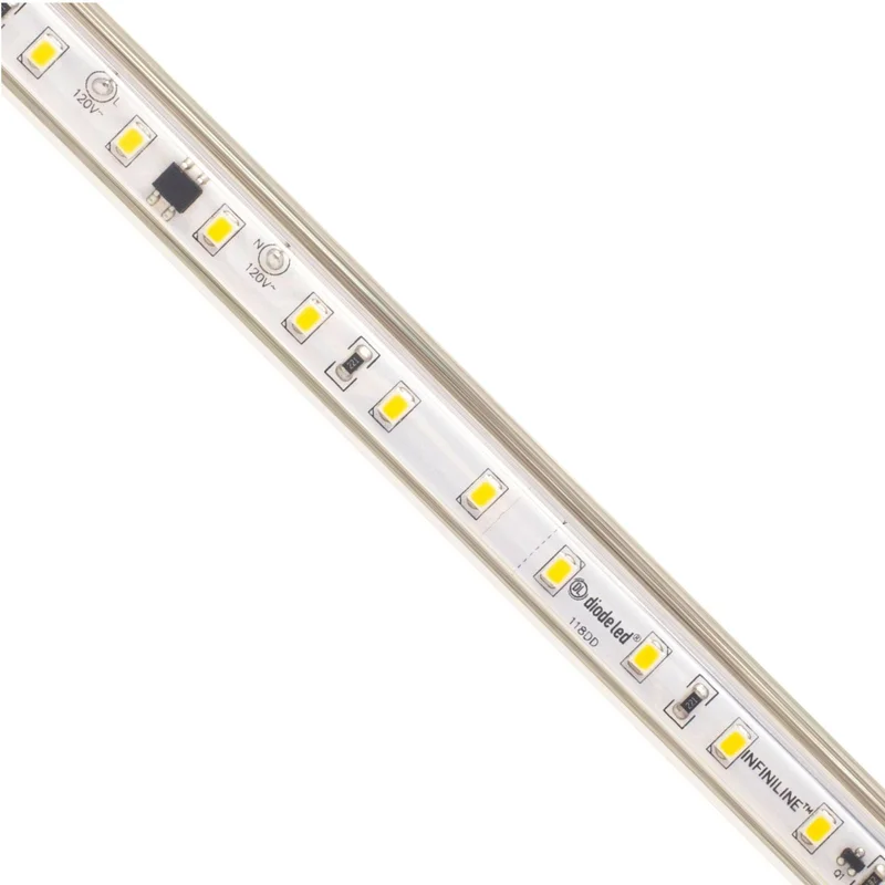beeslighting12654326