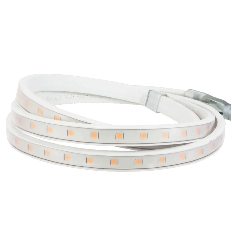beeslighting12655253