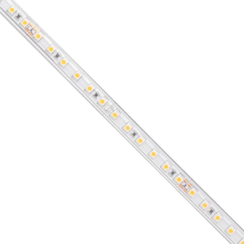 beeslighting12655369