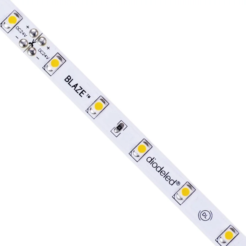 beeslighting12655430
