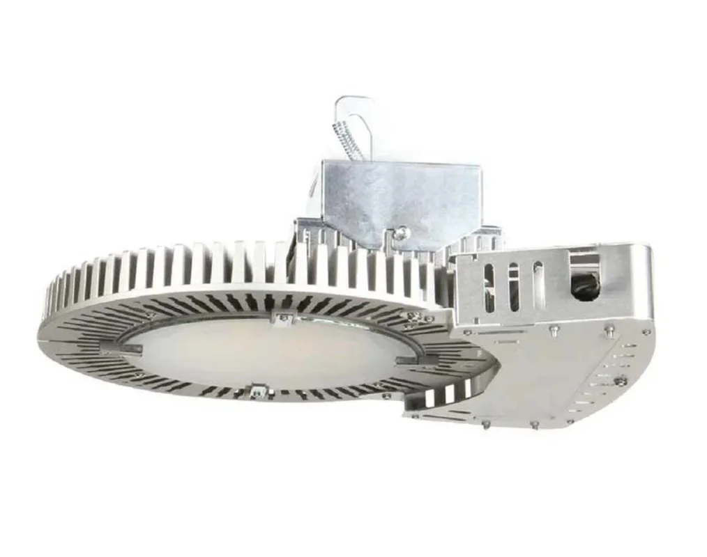 beeslighting12656305
