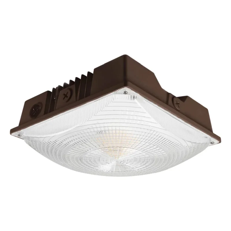 beeslighting12656383
