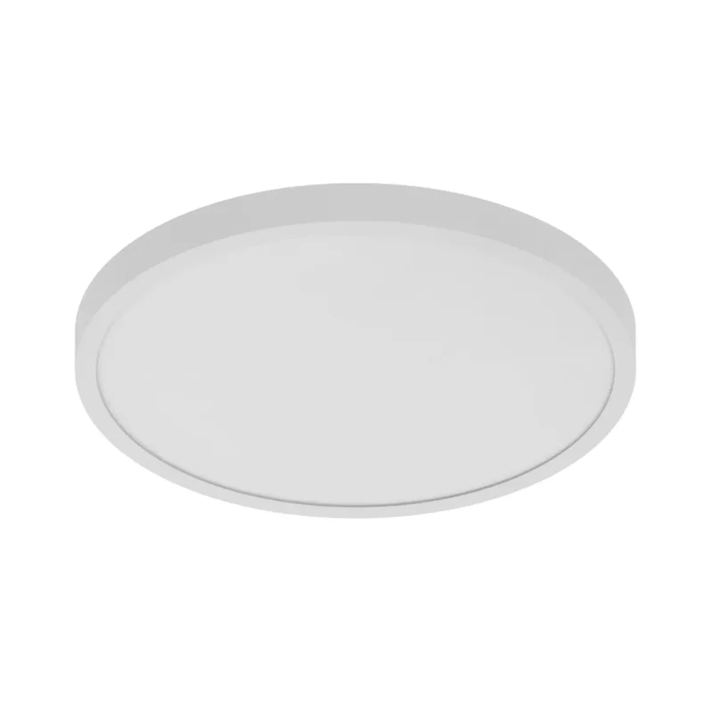 beeslighting12656455