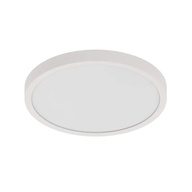 beeslighting12656462
