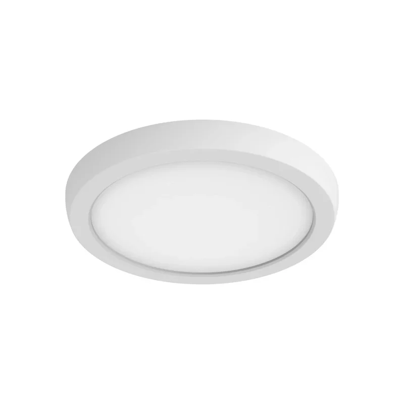 beeslighting12656729