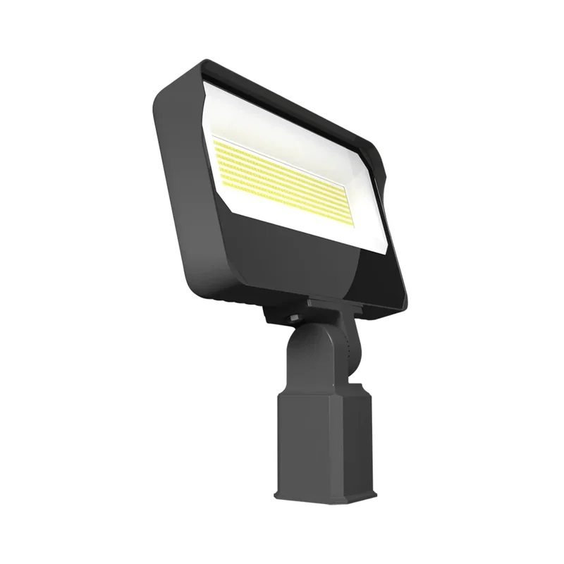 beeslighting12656790