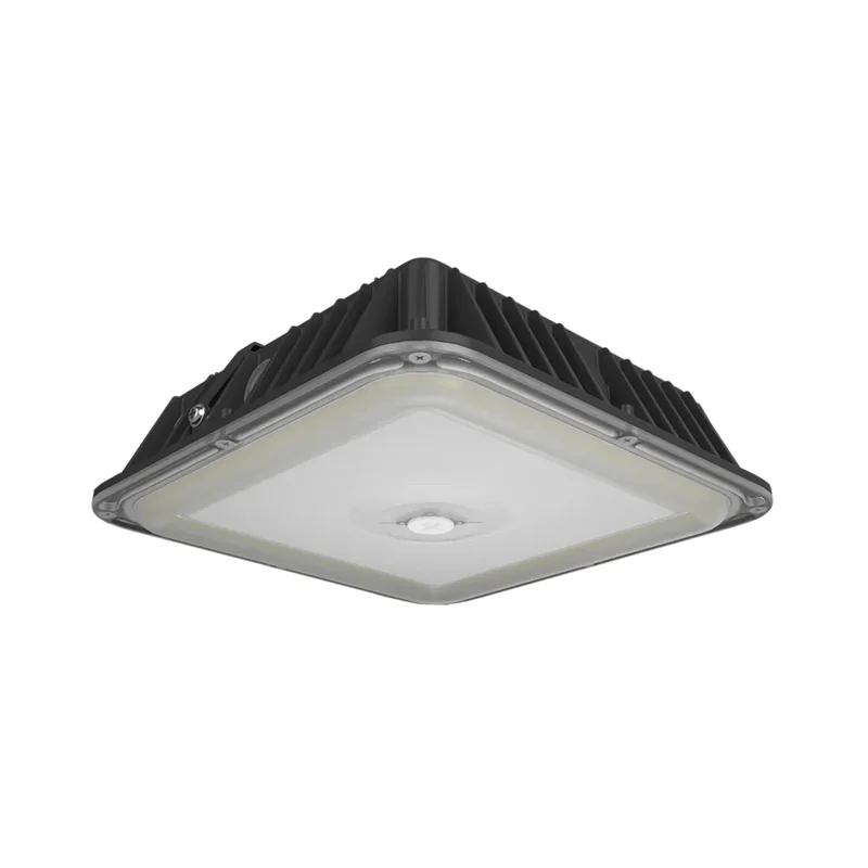 beeslighting12656824