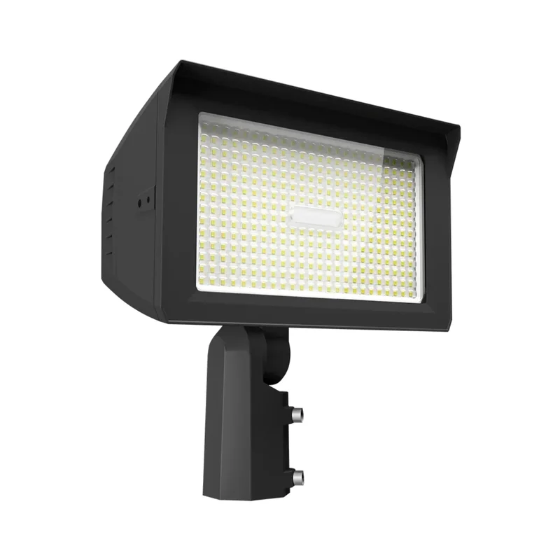 beeslighting12656958