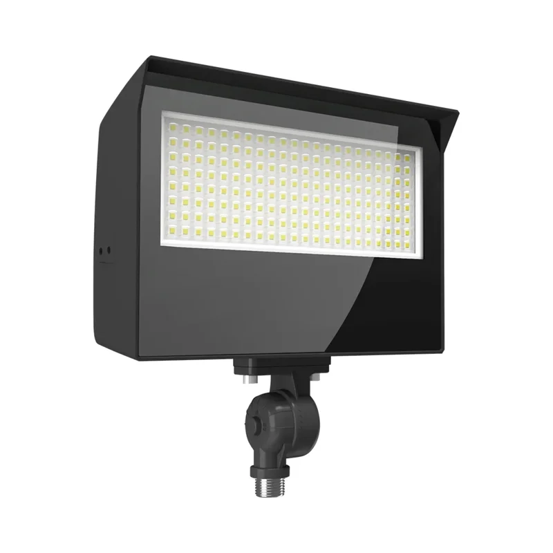 beeslighting12656969