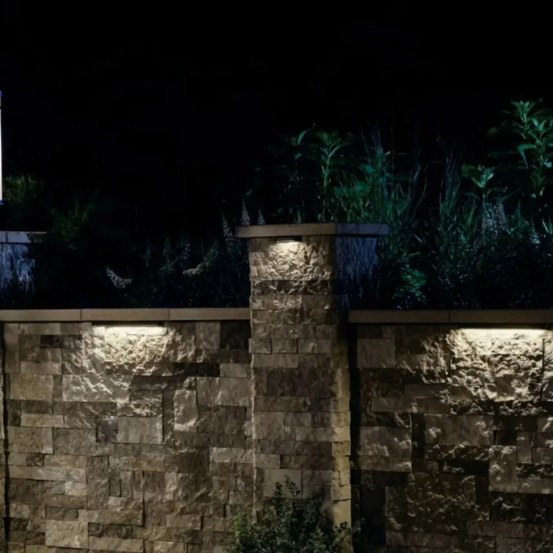 beeslighting12661628