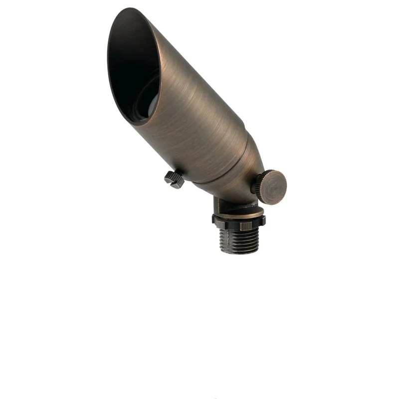 beeslighting12662249