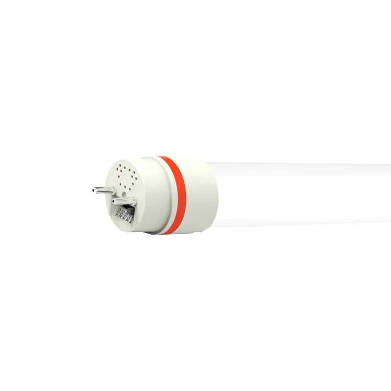 beeslighting12662502