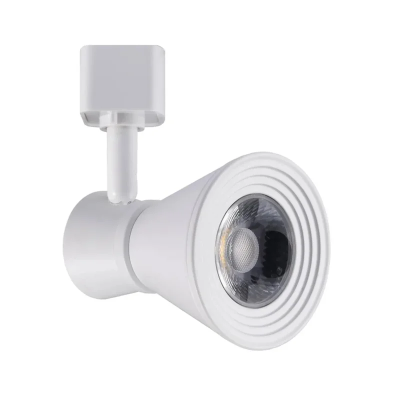 beeslighting12662761