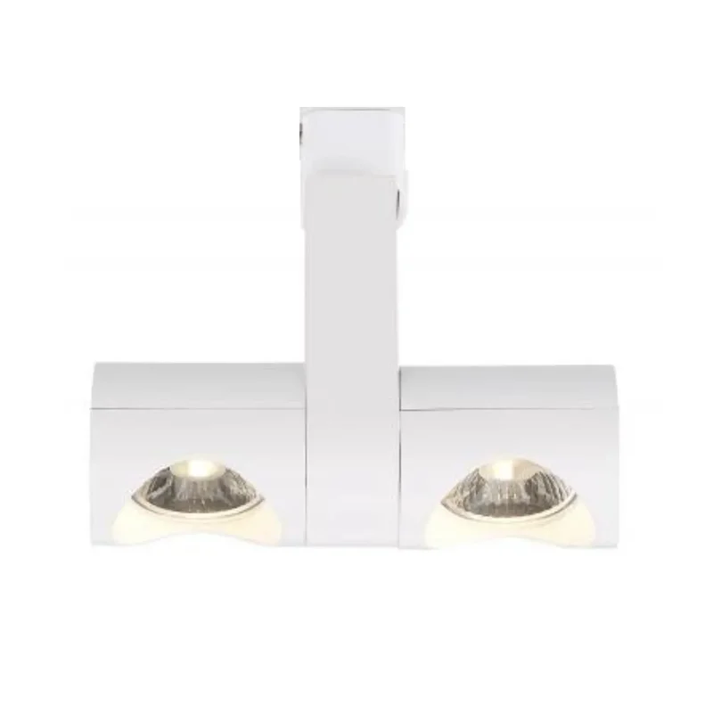 beeslighting12663051