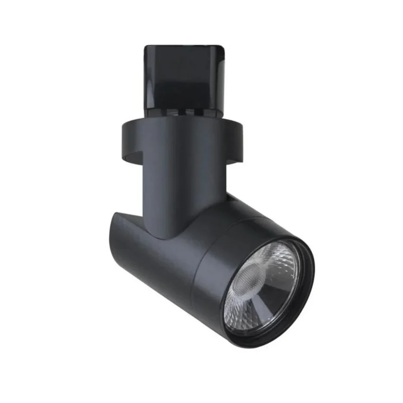 beeslighting12663320