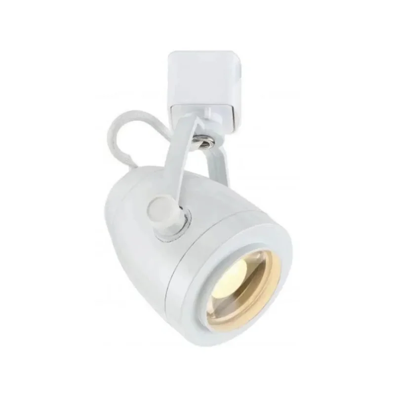 beeslighting12663570