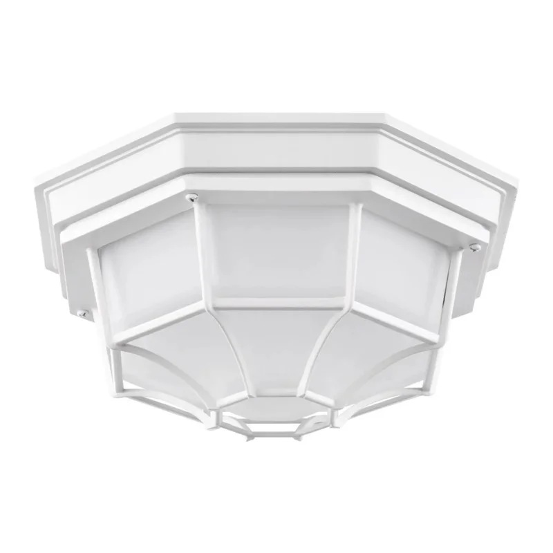 beeslighting12664371