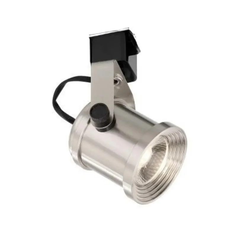 beeslighting12689504