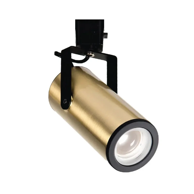 beeslighting22457831