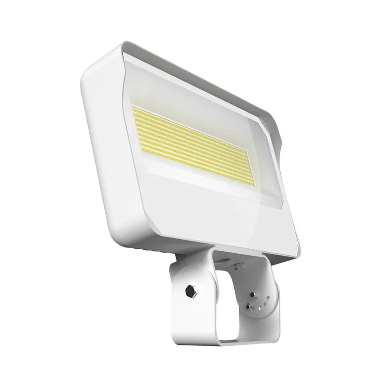 beeslighting22460078