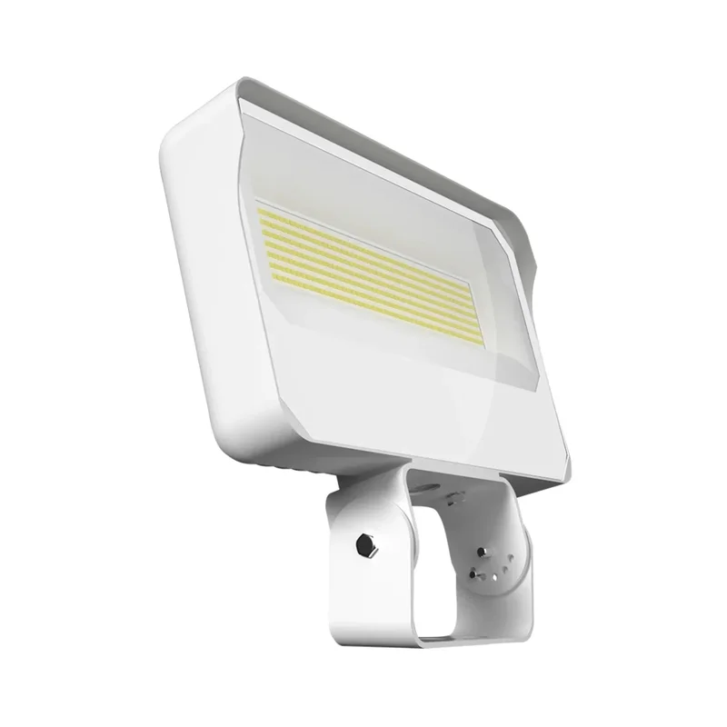 beeslighting22460098