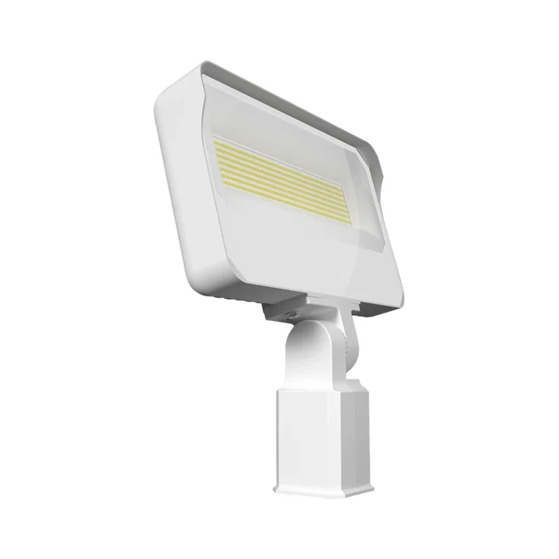 beeslighting22460105