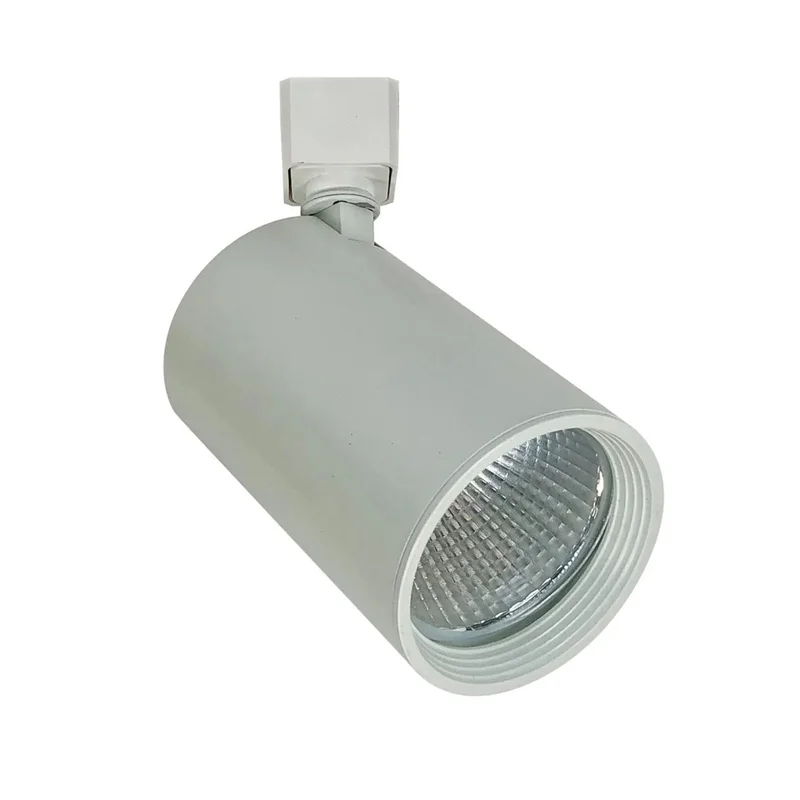 beeslighting22469566