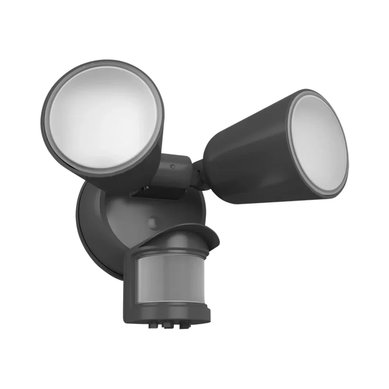 beeslighting22566092
