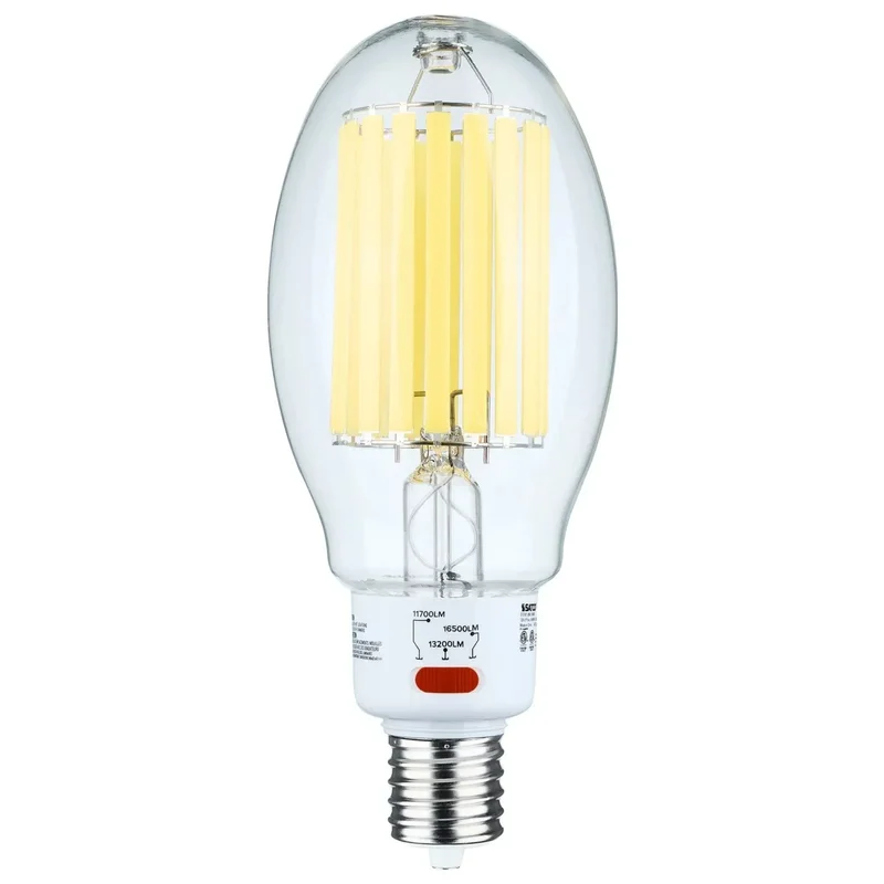 beeslighting22566443