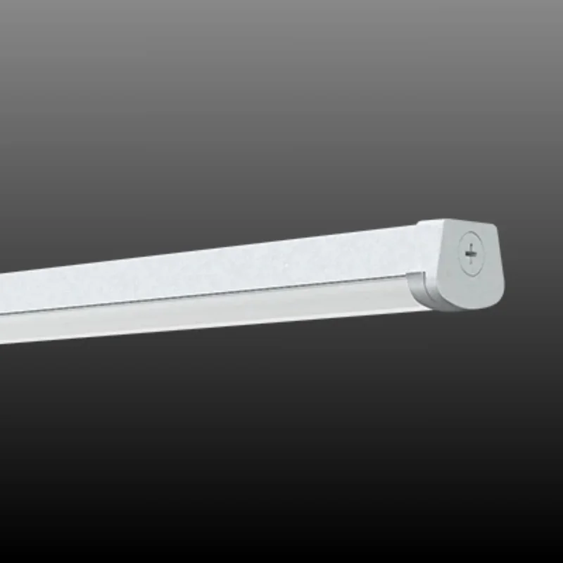 beeslighting22581301