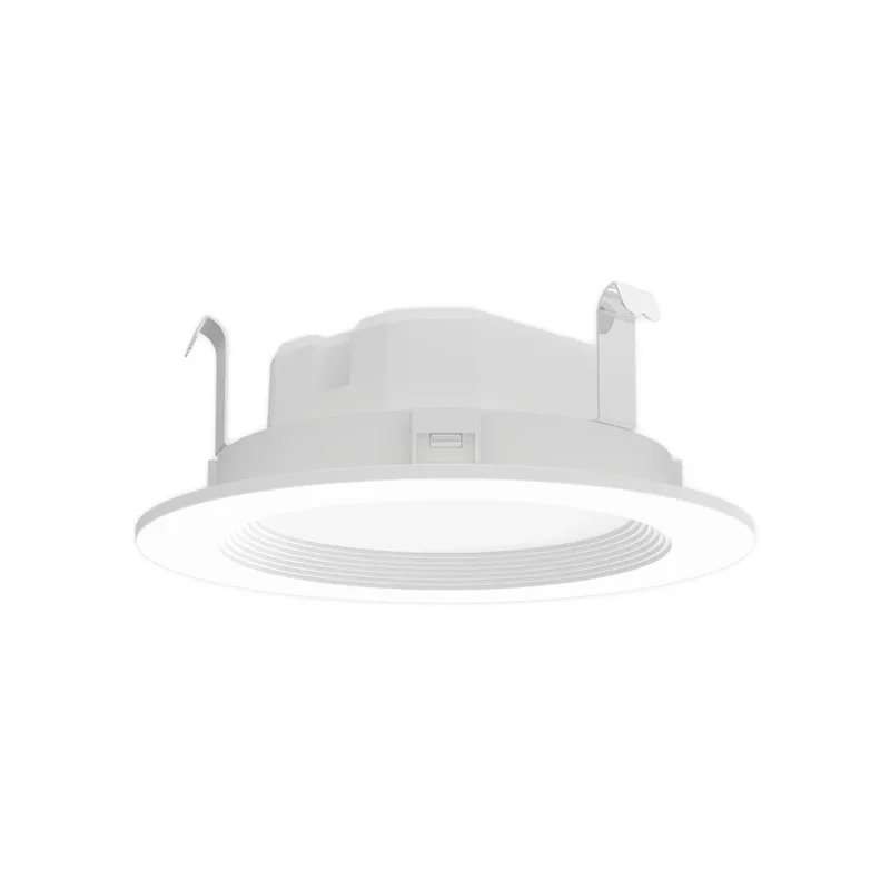 beeslighting22602063