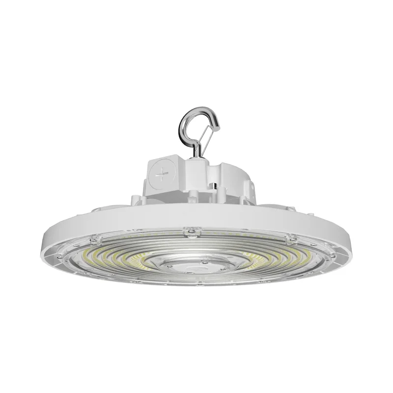 beeslighting22606678