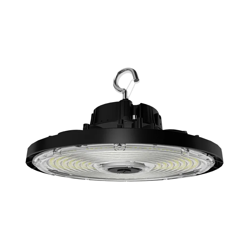 beeslighting22606697