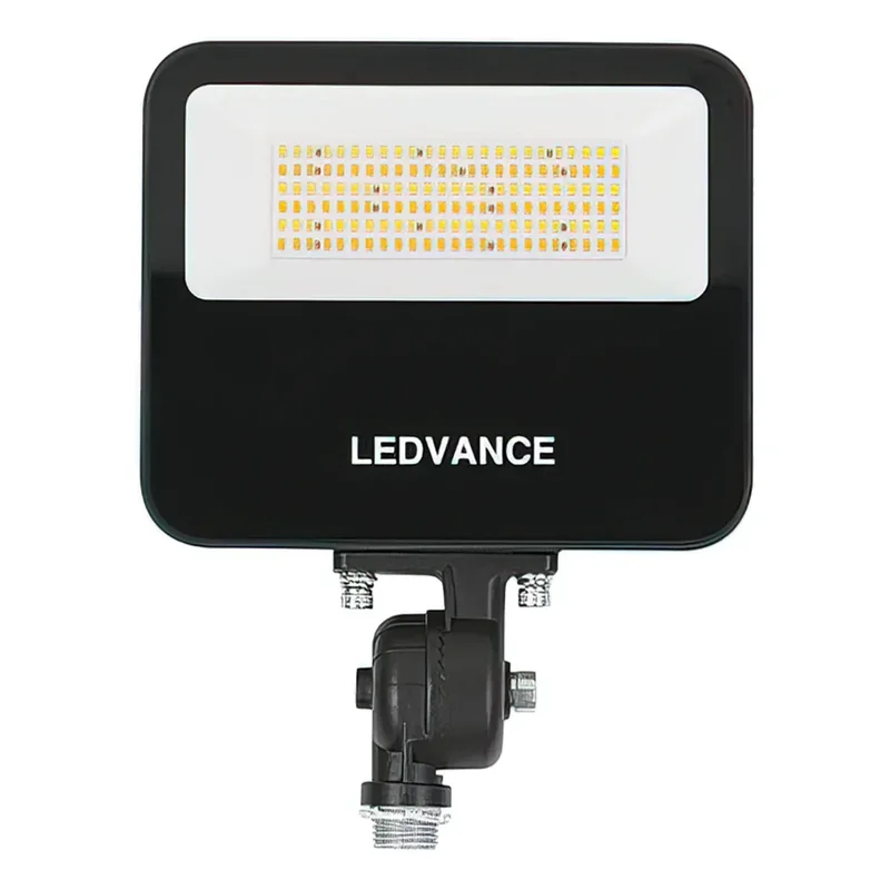 beeslighting22608033