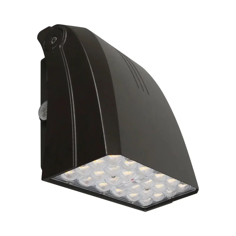 beeslighting22608936
