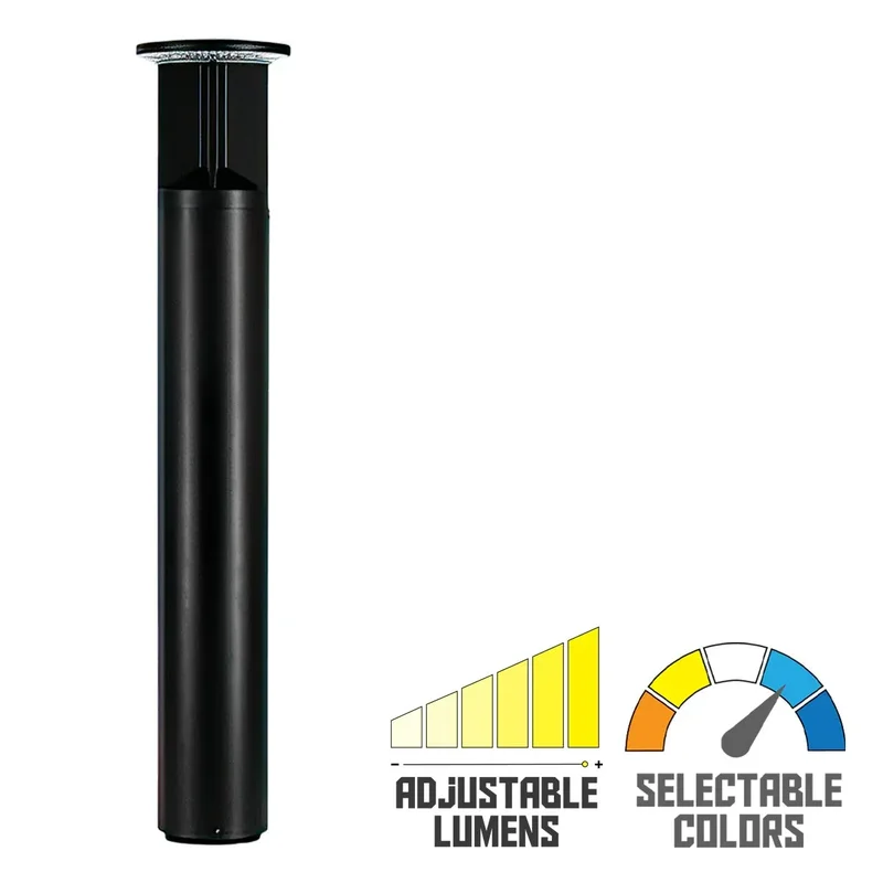 beeslighting22613527