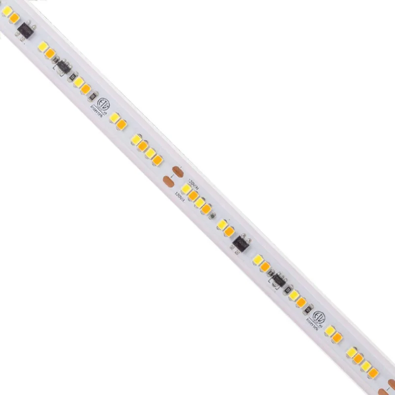 beeslighting22614312