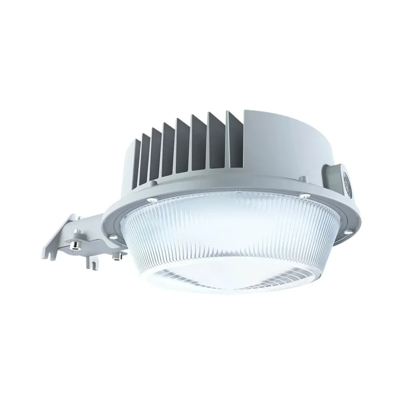 beeslighting22616869
