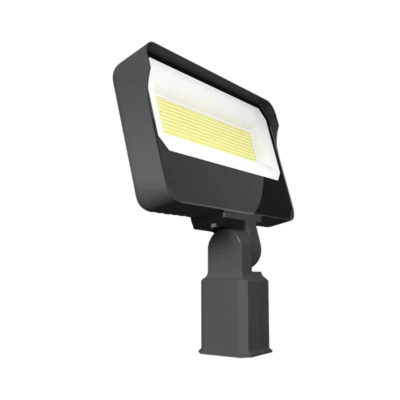 beeslighting22617329