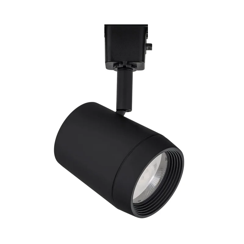 beeslighting22617592